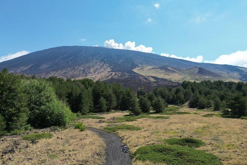 Un paisaje montañoso con un sendero de tierra que lleva hacia él, rodeado de bosques densos. 1