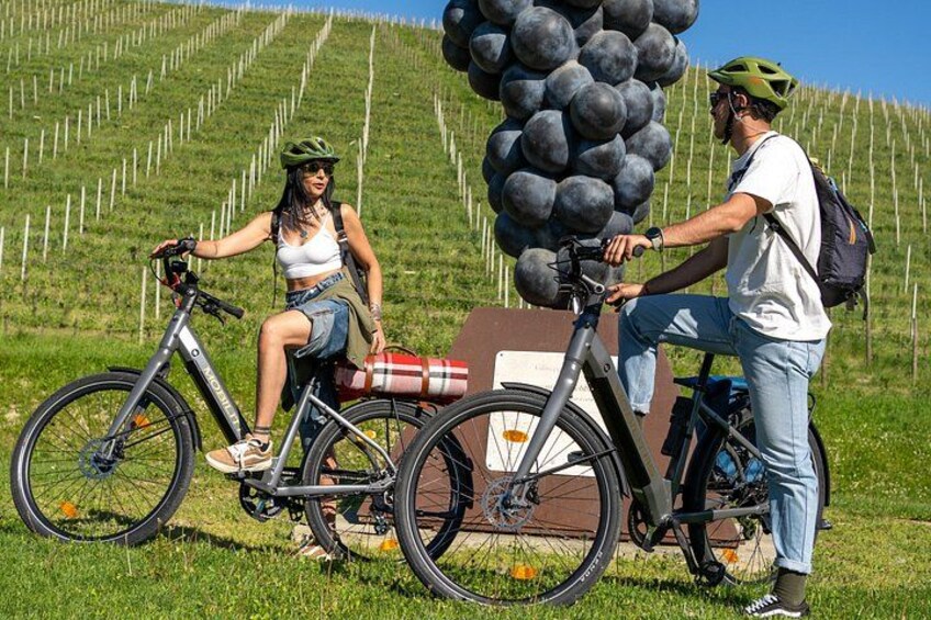 E-bike rental in the Langhe: Landscapes, wines, and cuisine. 1