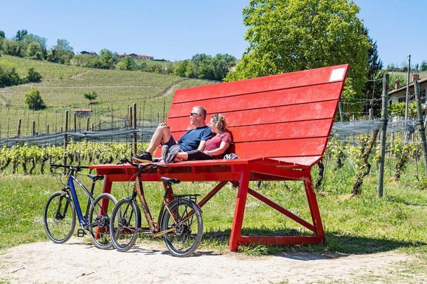 E-bike rental in the Langhe: Landscapes, wines, and cuisine. 4