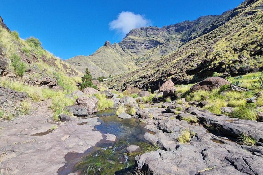 Private wild picnic in the North West of Gran Canaria 3