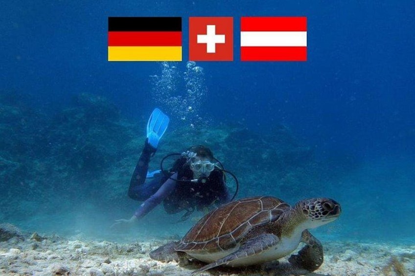 A diver with a sea turtle in the ocean. 1