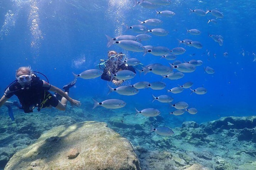 Two scuba divers swimming with a school of fish in clear blue water. 4