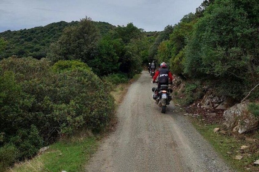 Un camino de grava con motociclistas circulando en fila. 5