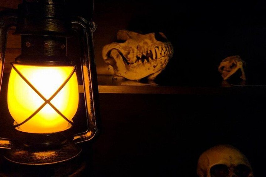 Escape Room Experience Taupo - The Cursed Cabin 1