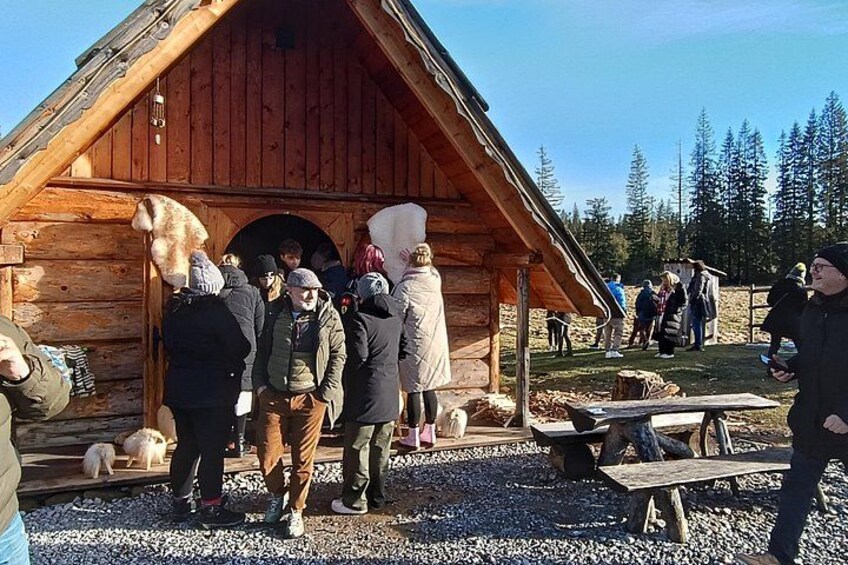 One Day Tour to Zakopane with private transport from Krakow 2