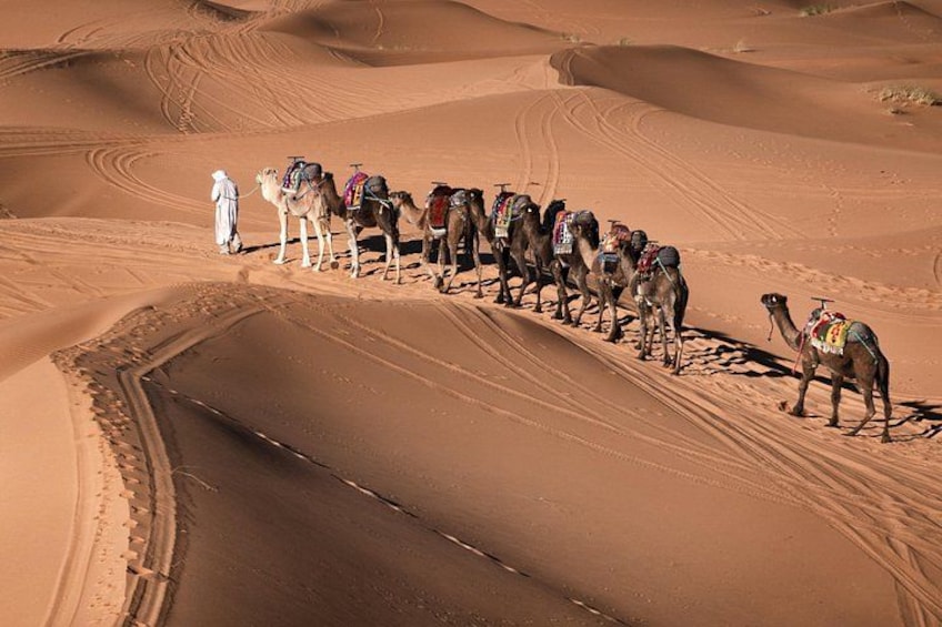 Une caravane de chameaux, avec des cavaliers à dos, dans un paysage désertique. 4