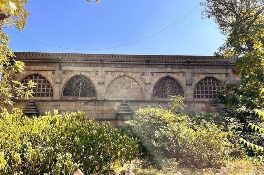 Individual Gujarat tour 2025 - 2026 ( Nature and palaces ) 2