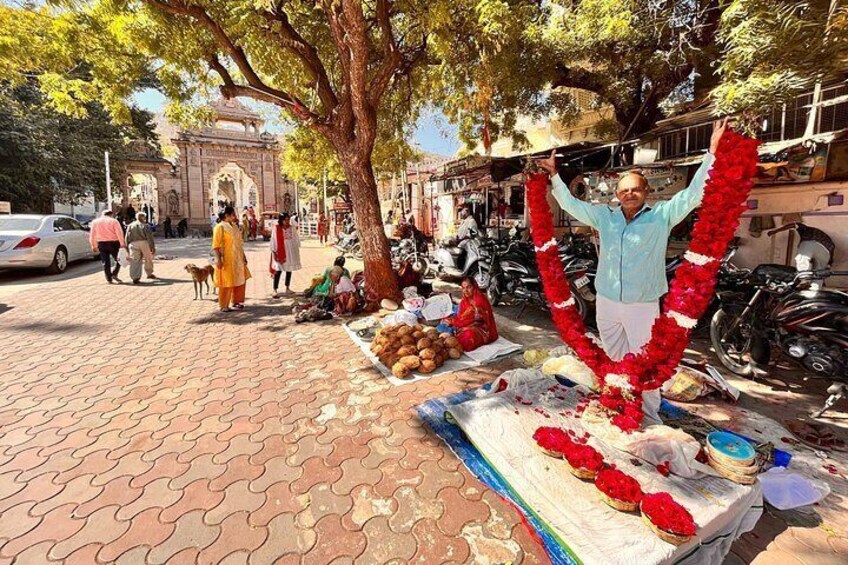 Individual Gujarat tour 2025 - 2026 ( Nature and palaces ) 3