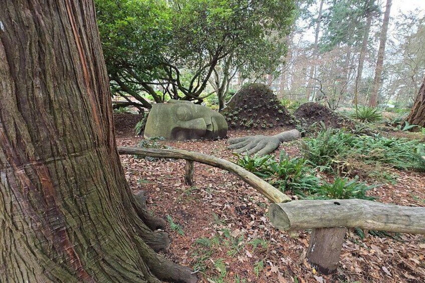 Victoria: Wildlife in the city, coastal viewpoints and parks 2