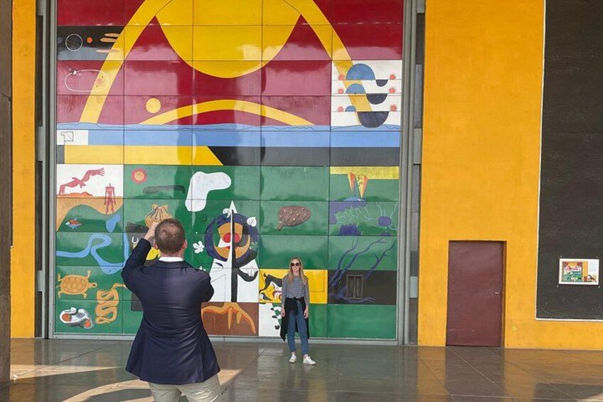 See the biggest door in Chandigarh, designed as s gift from France via Corbusier with original sketches painted by him. See the pivotal armored door that protects the Governor! 3