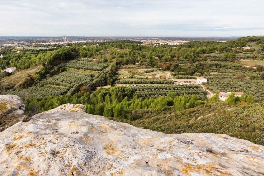 A mountainous landscape with terraced olive groves, a stone wall, and a distant view of a town. 3
