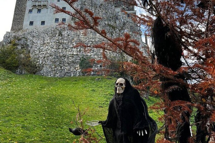 Bran Castle & Bear Sanctuary Small-Group Tour from Bucharest 1