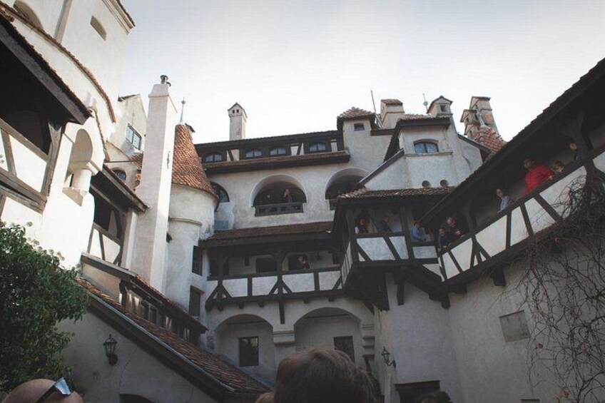 Bran Castle & Bear Sanctuary Small-Group Tour from Bucharest 4