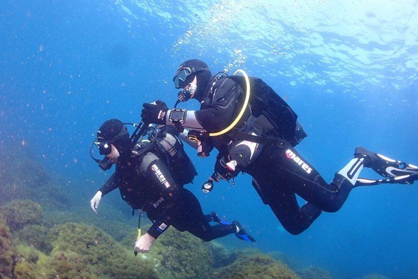 Two scuba divers underwater with fins and tanks. 3
