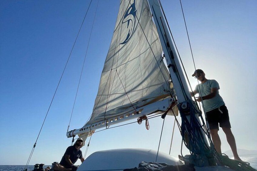 Whale & Dolphin Observation on Silent Catamaran with Hydrophone 2