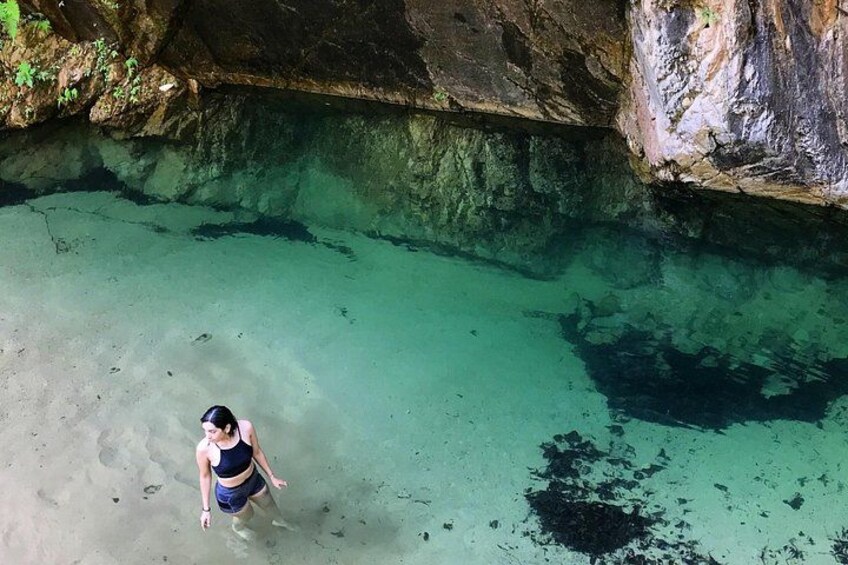 4-Hour Jungle Hike and Waterfall Swim with Nature Expert 2