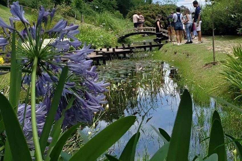 Uno stagno con fiori viola, un ponte di legno e persone in piedi sull'erba. 2