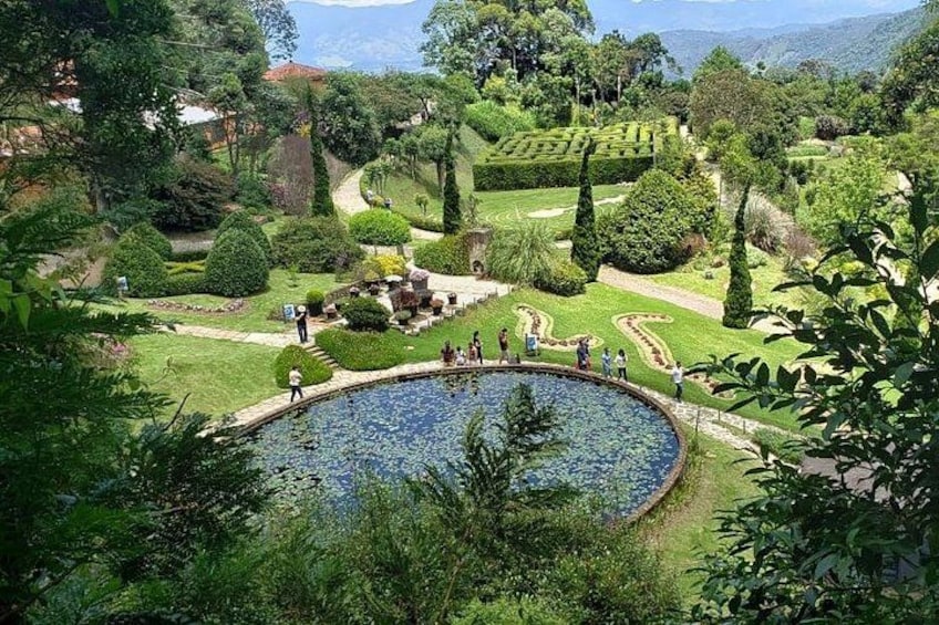 Un giardino curato con un laghetto circolare, sentieri e siepi ben potate. 1