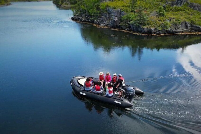 Zodiac Coastal Tour with Naturalist Guide: Lunenburg 3