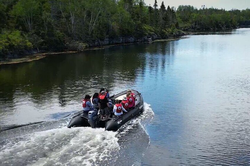 Zodiac Coastal Tour with Naturalist Guide: Lunenburg 1