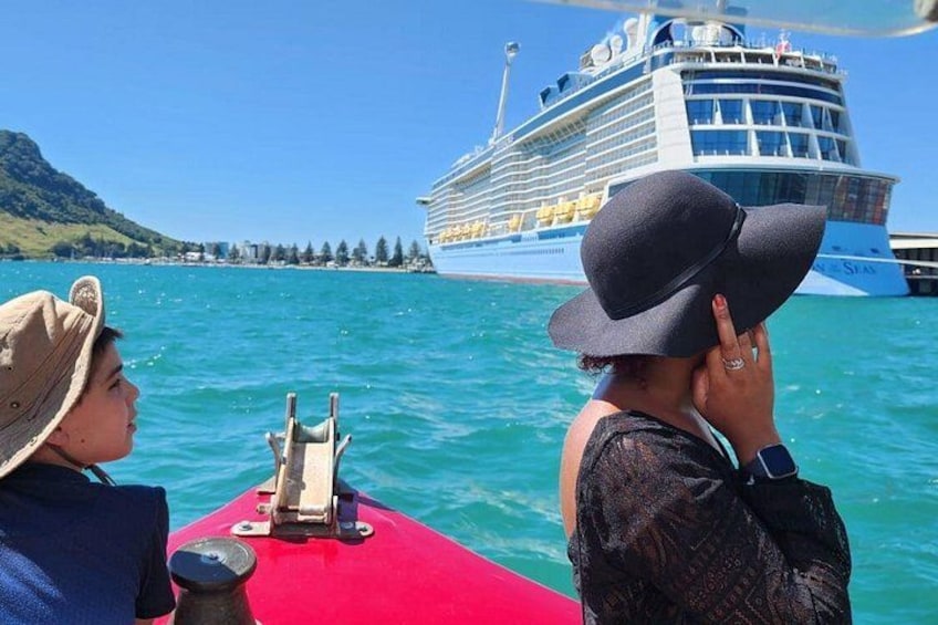 A cruise ship in the distance, a red boat with people on it, and a mountainous coastline. 4