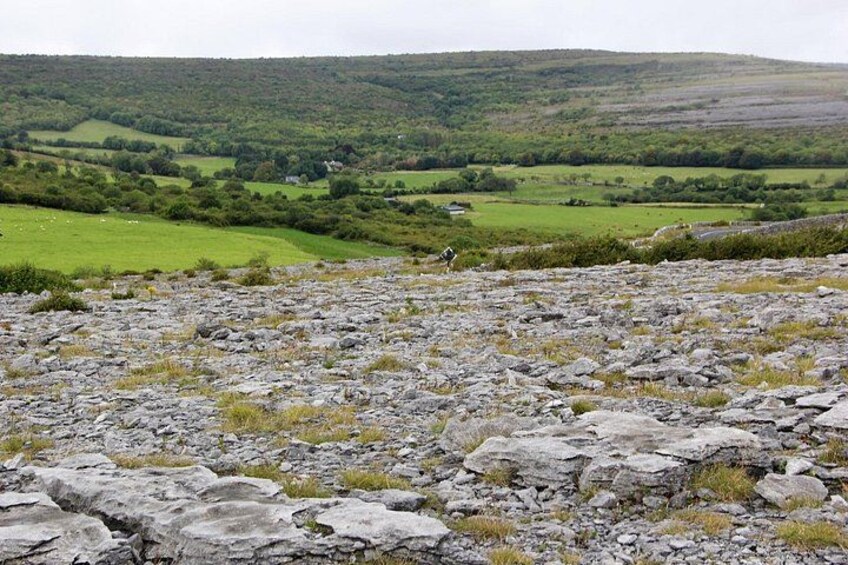 A rocky terrain with sparse grass, a distant green valley, and a hill in the background. 3