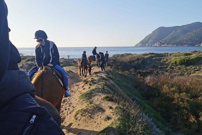Hest ryttere på en kyststi med udsigt til havet og bakker. 3