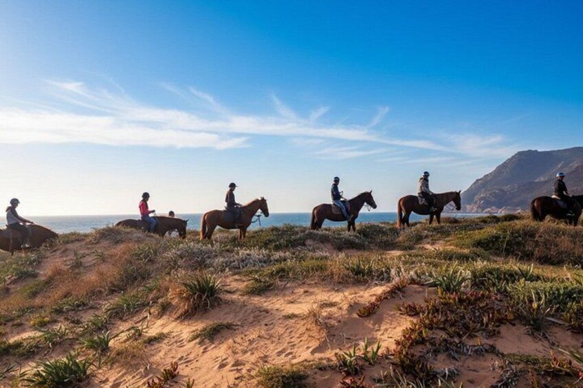 En gruppe mennesker rider på heste ad en kyststi, med en klar himmel og et bjerg i baggrunden. 1