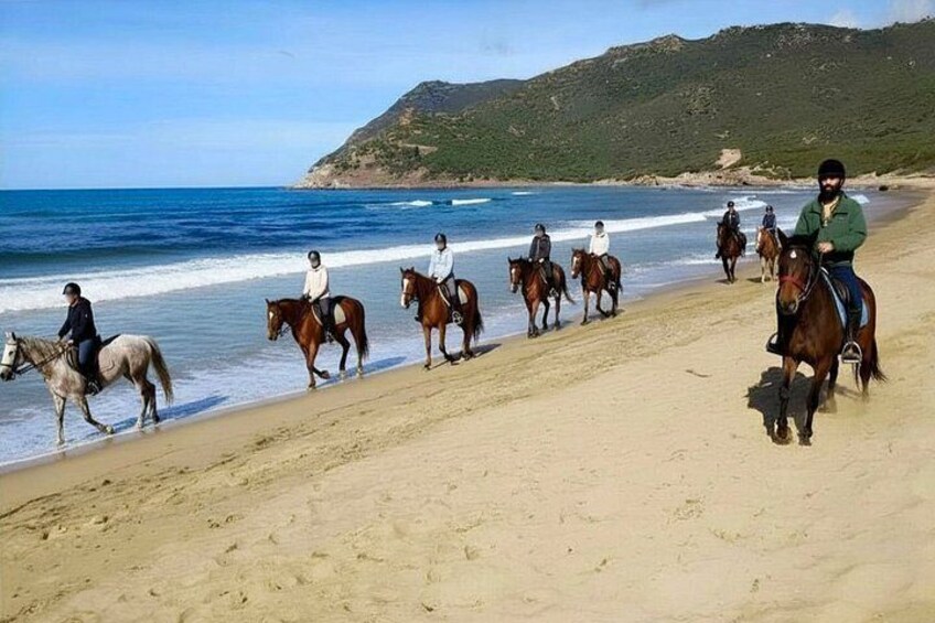 En strand med folk, der rider på heste langs kysten. 2