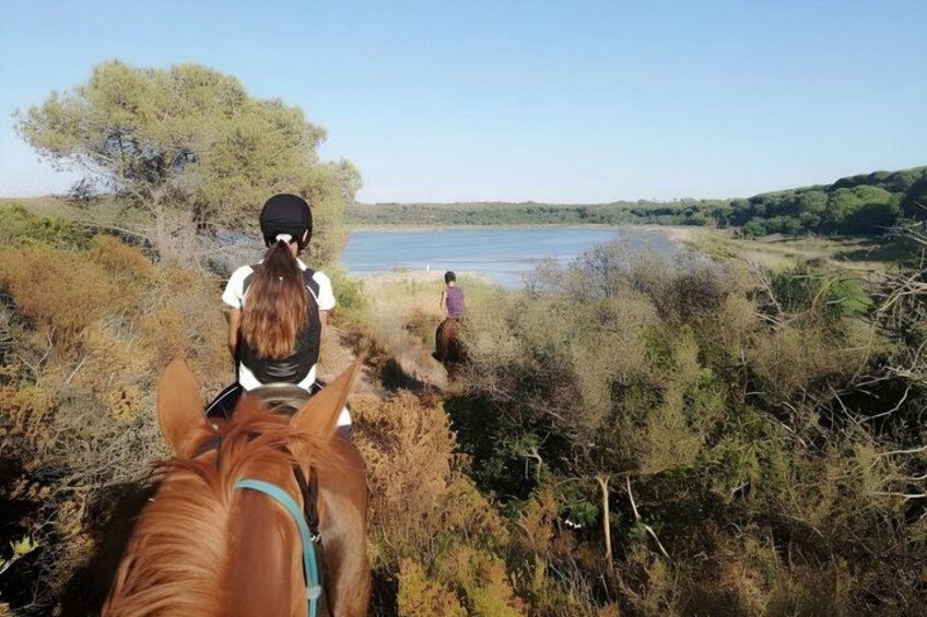 Alghero: horseback ride in Porto Ferro and Lake Baratz 3