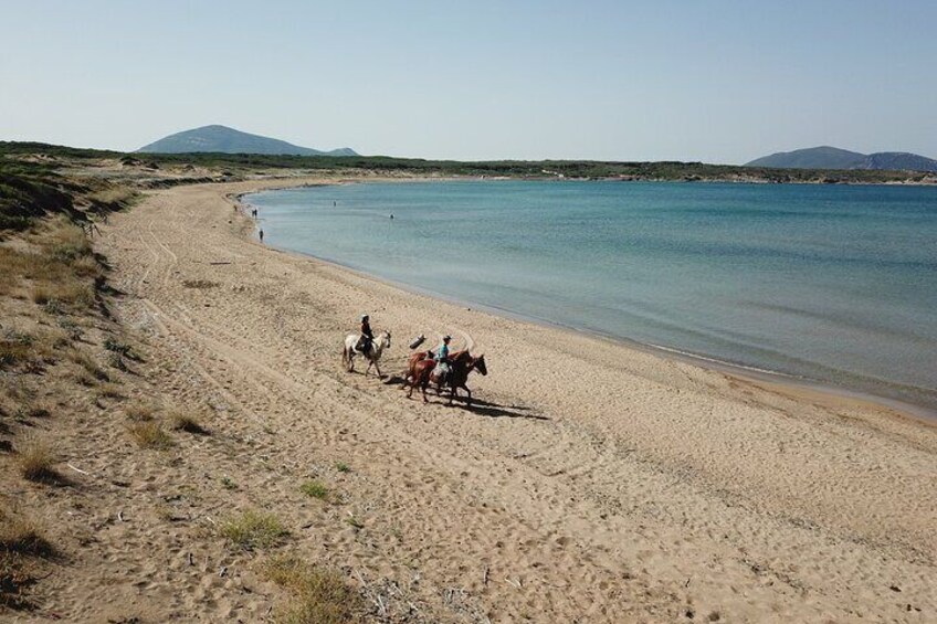 Alghero: Guided Horseback Ride at Lake Baratz & Porto Ferro