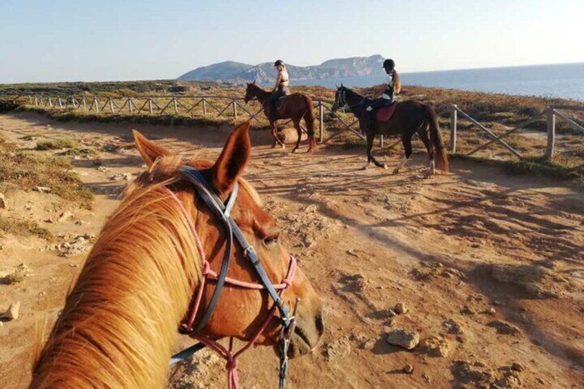 Alghero: Guided Horseback Ride at Lake Baratz & Porto Ferro