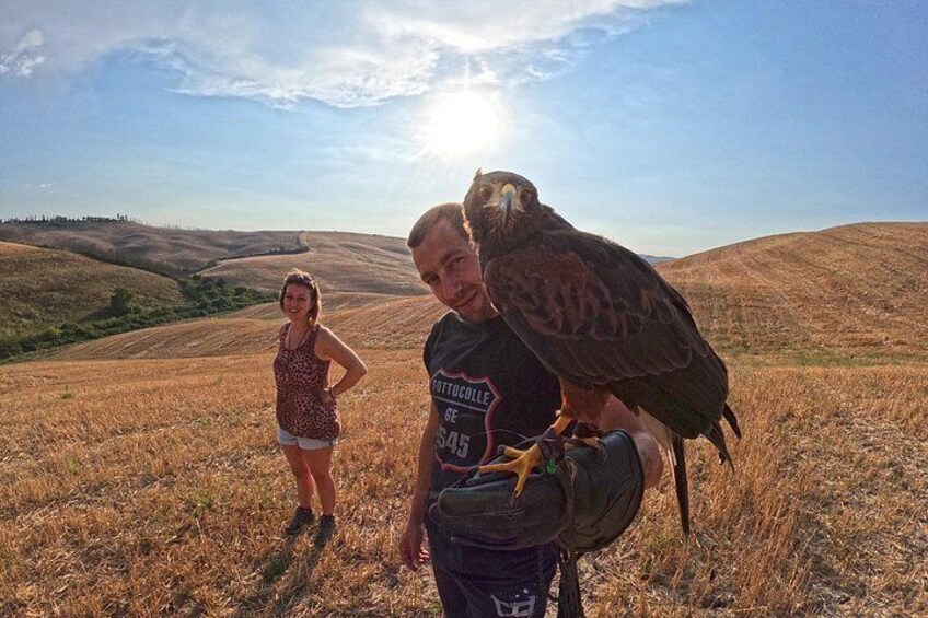 Harris Buzzard on tour 5
