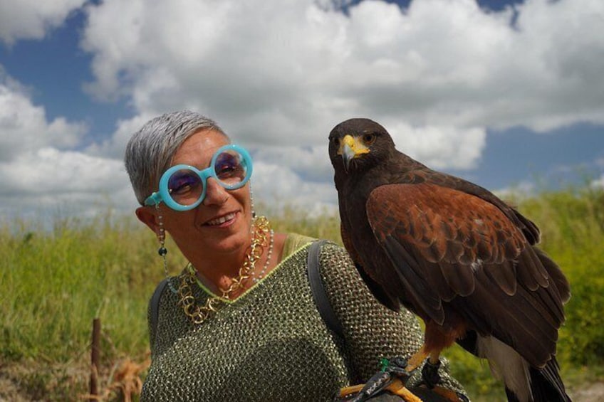 Brave, Harris Buzzard 4