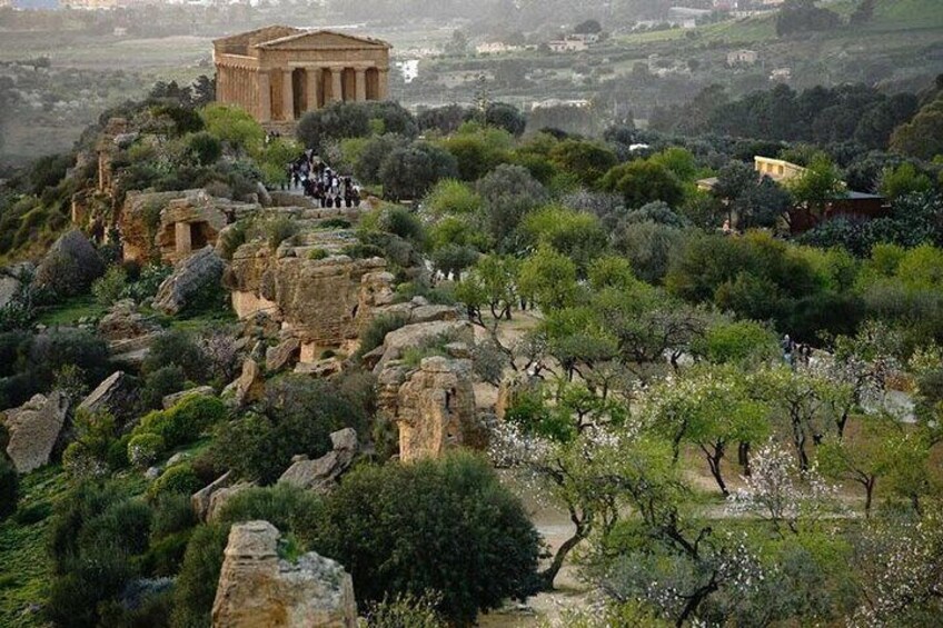 Agrigento - Private Tour to the Valley of the Temples from Palermo