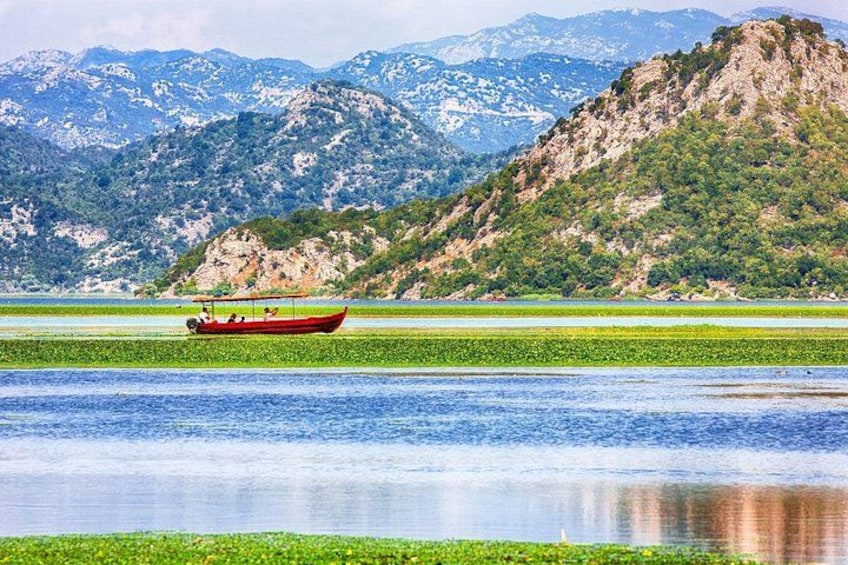 Boat floating through the Skadar lake 4