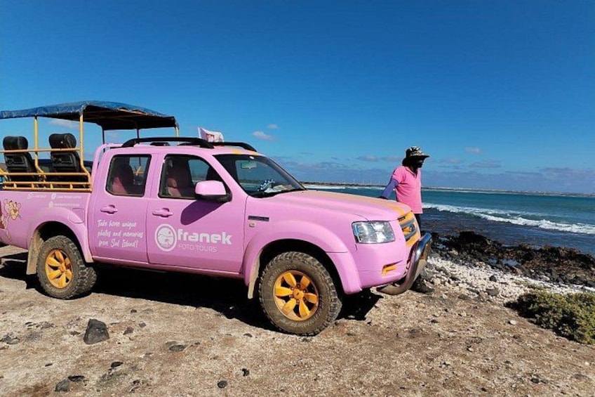 En rosa pickup-truck står parkerad på en stenig strand och en person står i närheten. 3