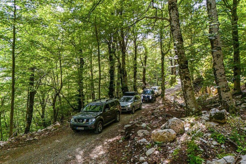 Bar Shore Excursion: Rumija 4x4 Experience with Traditional Lunch 3