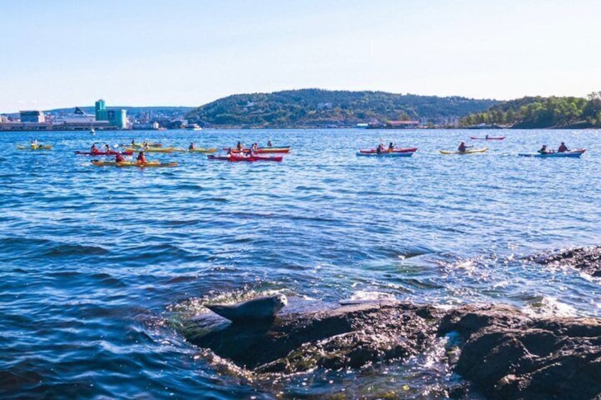 Oslo Sea Kayak Tour: Explore The Incredible Oslofjord 1