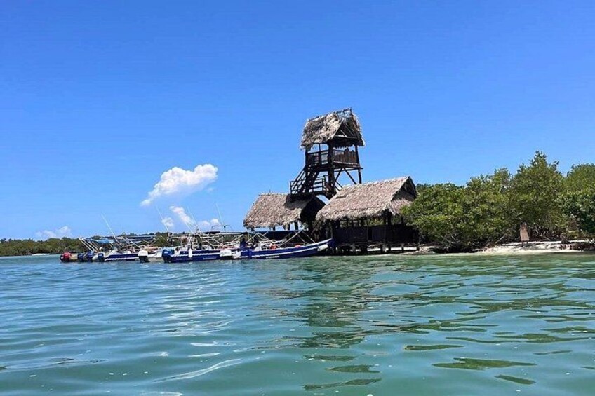 Holbox tour: Yalahau, Passion Island, Mosquito Point and Bird Island 2