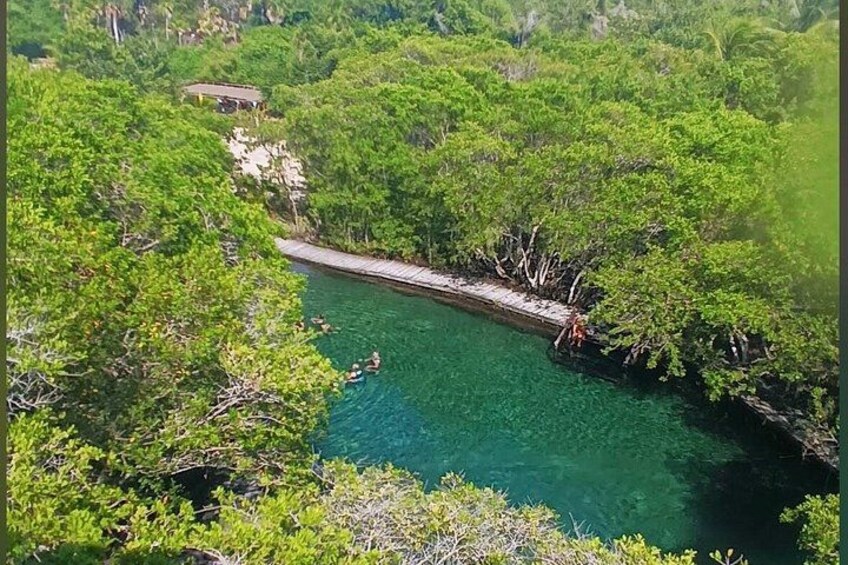 Holbox tour: Yalahau, Passion Island, Mosquito Point and Bird Island 3