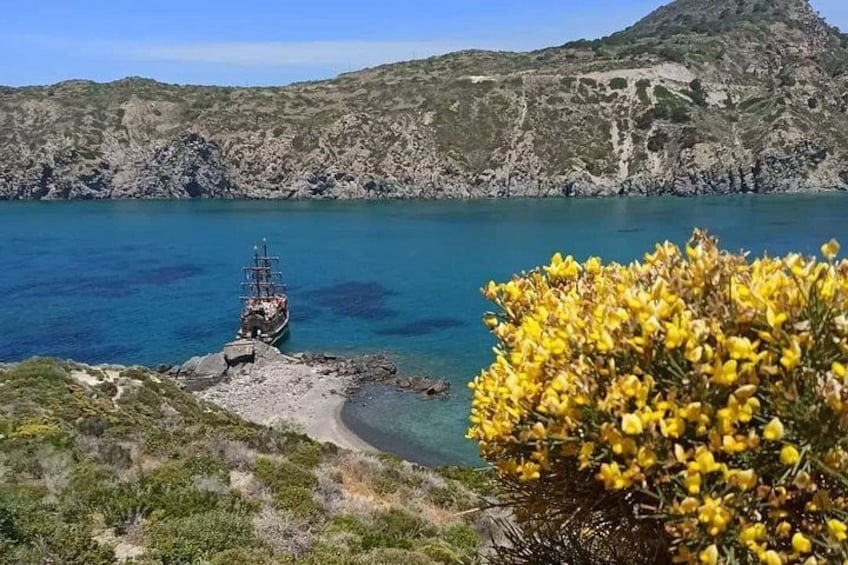 Paisaje costero con un barco amarrado cerca de una costa rocosa, rodeado de flores amarillas y montañas al fondo. 1