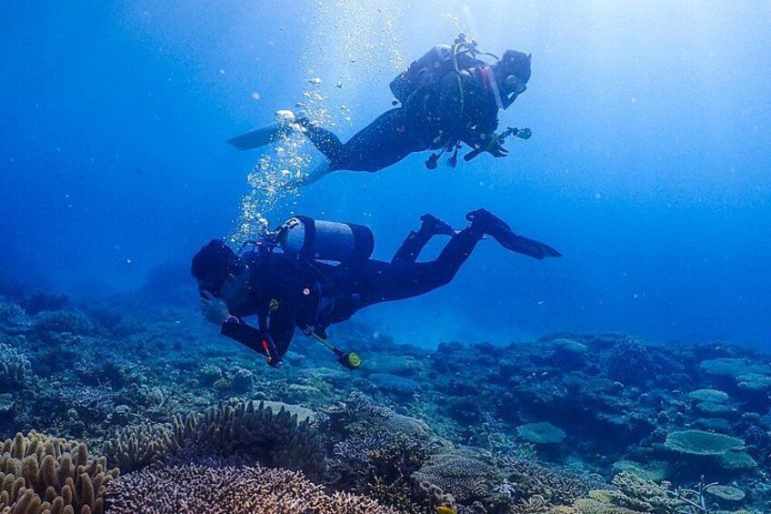 Okinawa Scuba Diving For Certified Divers (3 boat dives + Lunch) 1