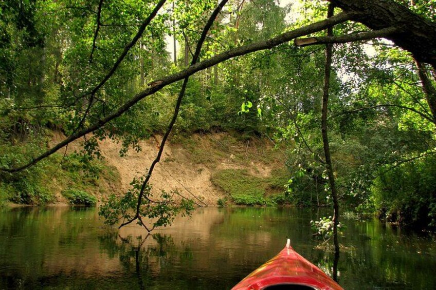 A river with a red kayak, surrounded by dense green foliage and a sandy bank. 5