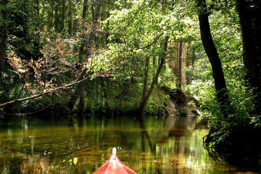A forested river with a red canoe. 4
