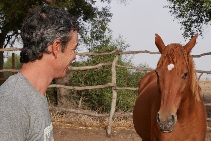 Personal Coaching Assisted with Horses