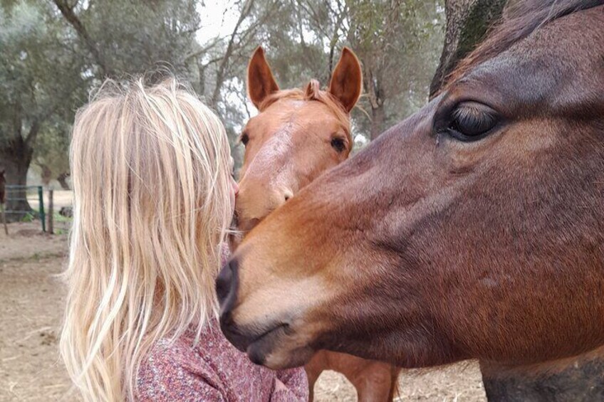 Personal Coaching Assisted with Horses