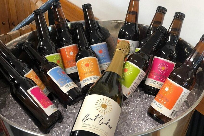 Sunshine Coast & Noosa Private Wine Tour Inc. Lunch & Tastings 4