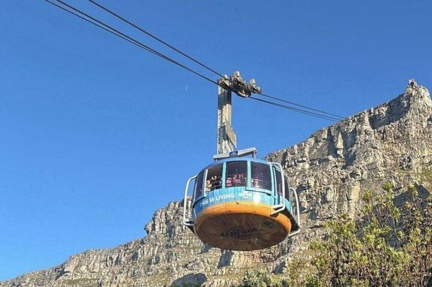 Cape Town: Half Day Table Mountain & Penguins Shared Tour 1