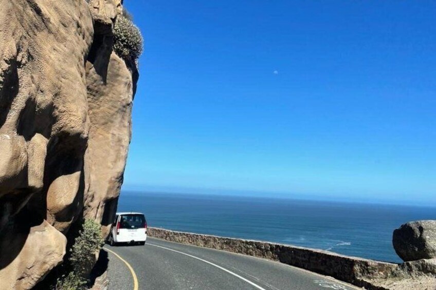 Cape Town: Half Day Table Mountain & Penguins Shared Tour 3